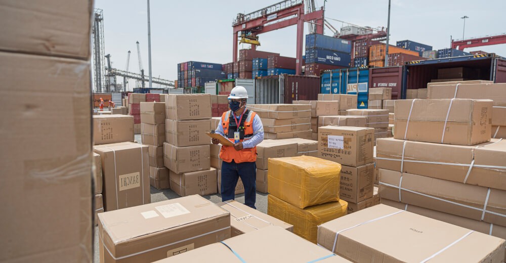 cargo surveying